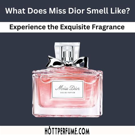 best perfume dior|what does miss dior smell like.